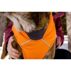 Ruffwear Quinzee™ Hundejacke Orange M -Heimtierbedarf Verkäufe 001bdf29a34dffebf7840b4a759030f83c299732 1370013 de DE 17dd615b14a3a705025267b6458fddf099eb308bn8H5c2