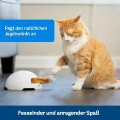 PetSafe Automatisches Katzenspielzeug Fox Den -Heimtierbedarf Verkäufe 038232be25f9015ce160251d628e0af5cabbc69f 1351524 de DE dbeb3a30744bbc866a12a3ecd4f619007abf0a14xn8Dpf