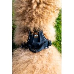 Fressnapf Tracker Pathfinder Geschirr Set S -Heimtierbedarf Verkäufe 0473ecbb0fe55fb7883a57b7591ab570c5a5aaa7 1409260 2