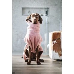 Lills Lill's Hundebademantel "Pink Berry" 35 Cm 9 Lills Lill's Hundebademantel "Pink Berry" 35 Cm -Heimtierbedarf Verkäufe 04a74783d50cdc98002051c351bf7a8a33cd1745 1349655 de DE 212dae4af17564ba144b7af1fd42f4b436426636rEvFkh