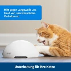 PetSafe Automatisches Katzenspielzeug Fox Den -Heimtierbedarf Verkäufe 08408a2d9006c3b10c605053b082403622980ada 1351524 de DE 8502feb5da21e0ab937dc8c82ecaeac4aebee886lllVcE