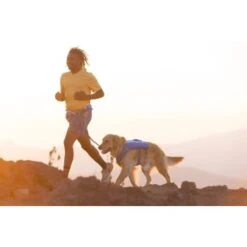 Ruffwear Trail Runner™ Weste Blau XS 18 Ruffwear Trail Runner™ Weste Blau XS -Heimtierbedarf Verkäufe 0b5b007ea11304fa0e12a2aa87d6cc6d6e6417b8 1639640 de DE dd2f81006cc91bb9a3794f38bc8a64c6efb41dd51MouDb