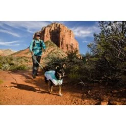 Ruffwear Swamp Cooler™ Kühlweste Für Hunde Grün S -Heimtierbedarf Verkäufe 1b9d993514e0988806b41c08c21933ee919b490d 1639549 de DE 93109366ec424094c68188acfae1c741bc8c4ccc0UWVXo