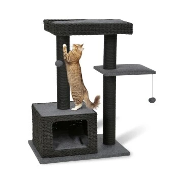 AniOne Kratzbaum Nancy 1 AniOne Kratzbaum Nancy