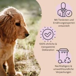 FAVLY Petfood PURE Bites Hirsch 360 G -Heimtierbedarf Verkäufe 236dbc85f5fb75ec5fb4367bde1445e3087ffdcd 1474003 de DE 80624b888460a5c29f043365a19496292e44fd84TlIvR8