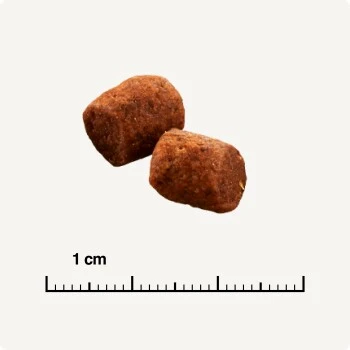 SELECT GOLD Indoor Adult Geflügel & Reis 7 Kg 5 SELECT GOLD Indoor Adult Geflügel & Reis 7 Kg – Bild 5