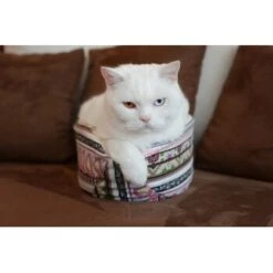 Canadian Cat Company Katzenschiff LUNA -Heimtierbedarf Verkäufe 2a794931f9263820d298c92486fc08c7b5fe3a35 1412669 de DE 46780a4b5da8fe052e5be00462eb02991658c41f2ZgeMs