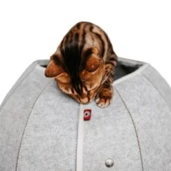 Canadian Cat Company Katzenhöhle In Kugelform S 11 Canadian Cat Company Katzenhöhle In Kugelform S -Heimtierbedarf Verkäufe 2ecb868df2d3b2cf90a9092caebd3c19caa20008 1347679 de DE 9620a1f8944edc55aec2b992d490644e015c022abD41s1