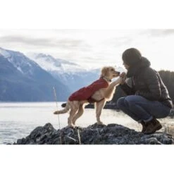 Ruffwear Overcoat™ Hundejacke Rot M -Heimtierbedarf Verkäufe 32b81091541e421621a809b75c62062d90eca320 1369977 de DE e6611e4bd31113b7d836455a75813df21f681f8eLLYoOv