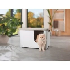 MORE FOR Katzentoilette XXL Titan -Heimtierbedarf Verkäufe 331a65ecbdbda6a54304894f23caf93293414f9a 41a7dcb3b92b8da7531785b268f381c1b25bbf04