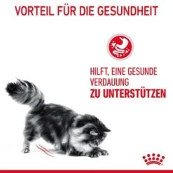 ROYAL CANIN Digestive Care 10 Kg -Heimtierbedarf Verkäufe 33836b78e4dfe5d72c6cf6742ac3f6af2f72a25c 1084985 4