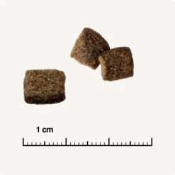 REAL NATURE WILDERNESS Adult Mixpaket Mixpaket 1, Mix-Pack 10 REAL NATURE WILDERNESS Adult Mixpaket Mixpaket 1, Mix-Pack -Heimtierbedarf Verkäufe 38c9fddfde6e364977836a7419845bd5679c428a 1267097 de DE 6 savannah 1173938004