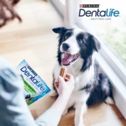 DentaLife PURINA Hunde Zahnpflege-Snacks Großpackung Medium, 84x 9 DentaLife PURINA Hunde Zahnpflege-Snacks Großpackung Medium, 84x -Heimtierbedarf Verkäufe 3d22bf74a99660236ce1548620fac8aa3ac8818f 7dac1d18ca011066644ad899fee9fa3bcb5974f5