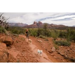 Ruffwear Swamp Cooler Zip™ Kühlweste Für Hunde Pink XL 19 Ruffwear Swamp Cooler Zip™ Kühlweste Für Hunde Pink XL -Heimtierbedarf Verkäufe 3f53abbb449b533ae19bdcc983422a810c1a6523 1639652 de DE 69e04235fc73e7ad617b0a7c576e77147e0d0f9aiqnSME