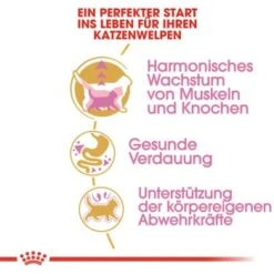 ROYAL CANIN British Shorthair Kitten 2 Kg -Heimtierbedarf Verkäufe 3feab8717345fb55fe890c564cd1933a92234494 8fcb8d730ecfafe8fb567de5d1188cbf674cf65f