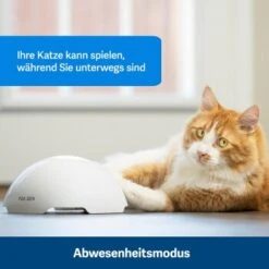 PetSafe Automatisches Katzenspielzeug Fox Den -Heimtierbedarf Verkäufe 436796eddc653fbc5ba6c19e00138d58f340ef52 1351524 de DE 2c07966cfa5d20e79e732d930dea56115af33e3axxjuix