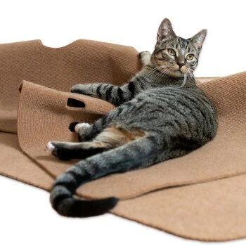 Canadian Cat Company Spielteppich Für Katzen Braun 4 Canadian Cat Company Spielteppich Für Katzen Braun – Bild 4