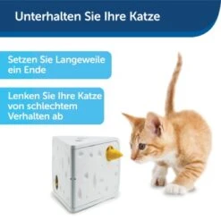 PetSafe Automatisches Katzenspielzeug Cheese -Heimtierbedarf Verkäufe 4c112de7fe5af21942e197c5273a2c12e4aecd5f 1418723 de DE ac6350c5fa35502dd40d2834518255dfc3ab3dc68jakb9
