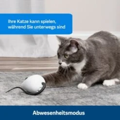 PetSafe Automatisches Katzenspielzeug RoloRat 8 PetSafe Automatisches Katzenspielzeug RoloRat -Heimtierbedarf Verkäufe 4e48313abe110e77b48862456b3054c8cbc622dd 1351522 de DE cc35ab35cec54291341f643ff079f60e72f56895BvuHXl