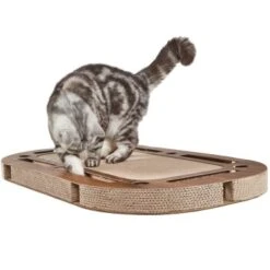 Canadian Cat Company Katzenspielplatz PlayPlate Braun -Heimtierbedarf Verkäufe 503b050ded03a798fae5907e5e6ab62ea486daec 1345686 de DE ba93f7f713eb46bccf87a135aca2b7d10f0f1847E0hi8m