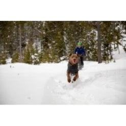 Ruffwear Climate Changer™ Fleece-Pullover Für Hunde Rot S 11 Ruffwear Climate Changer™ Fleece-Pullover Für Hunde Rot S -Heimtierbedarf Verkäufe 535cabacaeabf49aa3494b71adfef12f9eebb3a3 1369661 de DE 7a5c8e78f67f43ebb4ef19e792a83af13c77436dTtVXa2