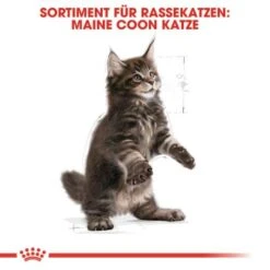 ROYAL CANIN Maine Coon Kitten 4 Kg -Heimtierbedarf Verkäufe 5363adbcd5720069c9dee834c28d247ed6c58d7d 78d41fa69f58c3708158103686f8d71d73464eed