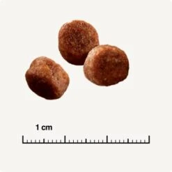 SELECT GOLD Sensitive Digestion Adult Geflügel Und Reis 2,5 Kg 10 SELECT GOLD Sensitive Digestion Adult Geflügel Und Reis 2,5 Kg -Heimtierbedarf Verkäufe 571cc49e96eaa29d93cdb9496136ed90f38f0ce7 1243347 de DE 6