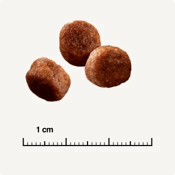 SELECT GOLD Sensitive Digestion Adult Geflügel Und Reis 2,5 Kg 5 SELECT GOLD Sensitive Digestion Adult Geflügel Und Reis 2,5 Kg – Bild 5