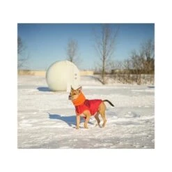 GF Pet Scout Jacke Rot XXS 7 GF Pet Scout Jacke Rot XXS -Heimtierbedarf Verkäufe 5991967bf630a1f8d02726fdfd74663dc8e73701 0d63da1ea5654731f0cfde8666f379832b57508d