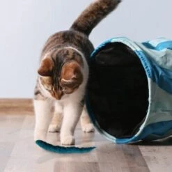 Kater Kasimir 3 Handgerollte Filzwürmchen Aus Schurwolle + 1 Mini-Flasche Katzenminze-Spray -Heimtierbedarf Verkäufe 628f7d1d4ec1f70990cd24d861db16d7b447278c 1409266 de DE e1034005335ef5de37662c8ab367f77b33e0f5830ItxtL