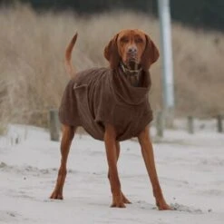 THE DOG IDEA Bademantel Every Braun XXXS -Heimtierbedarf Verkäufe 62c517832f7f923b83b0a0ee681a77b2e33cc3c3 1473036 de DE 2393ef51979dd0191b0261c826741cb7543b7b3brAaZfV