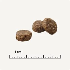 REAL NATURE Original Adult 2kg Kaninchen & Huhn 12 REAL NATURE Original Adult 2kg Kaninchen & Huhn -Heimtierbedarf Verkäufe 66275984ec70159507e68c3c20eba756040e26f9 1350195 de DE 6