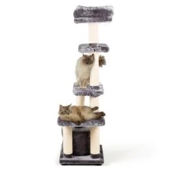 Heimtierbedarf Verkäufe -Heimtierbedarf Verkäufe 677023a5c9f0801aa58ae620380c378acb4d5242 84497c667df2fa46c644bd94da38b0da266ce216