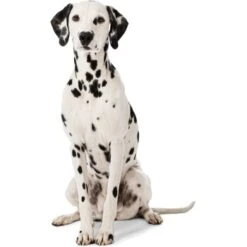 MORE Liegeplatz Cord LOOKS By Wolfgang Joop M 8 MORE Liegeplatz Cord LOOKS By Wolfgang Joop M -Heimtierbedarf Verkäufe 6828406bf5c097465ec912985de2b95c60385f12 1410461 3