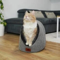 Schlitzohr Katzenhöhle Oskar Grau -Heimtierbedarf Verkäufe 6dc322d0c0c691311c750126461acbb0bfd7f106 1484676 de DE cf48f7f4d140da3e59fb3189e3029debd29d4937tKSJNT