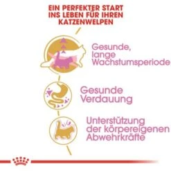 ROYAL CANIN Maine Coon Kitten 4 Kg -Heimtierbedarf Verkäufe 762fe3d95c521f1c9aed31bc11ea5f813cb64625 48abad1c00ba32352c5f4e40b8a5a9d5e4dec65f