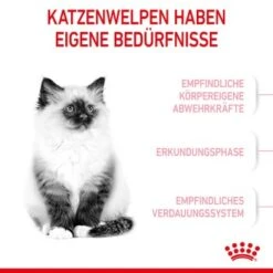 ROYAL CANIN Kitten 4 Kg 12 ROYAL CANIN Kitten 4 Kg -Heimtierbedarf Verkäufe 76c69f287cfbe56e3ecbc6374c1c83282049ff9f 3182550702973 4