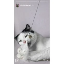 Kater Kasimir Premium Katzenangel Mit 4 Handgemachten Anhängern Aus Naturmaterial -Heimtierbedarf Verkäufe 770b4a4773ed49d435287f5ac0f03f94a117604e 1408150 de DE d77919138410a09ab67416f25ec15e6664e9d2ac4JZFQJ