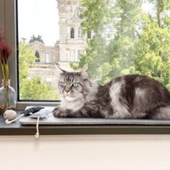 Canadian Cat Company Filzmatte Für Fensterbank Hellgrau S 9 Canadian Cat Company Filzmatte Für Fensterbank Hellgrau S -Heimtierbedarf Verkäufe 7885f06a61233bc404e6a3aa7f8cd882fde8d497 1498575 de DE 613cf8659fcca6edb1e226239a406f420c510b04Tro7m3