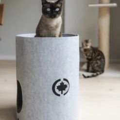 Canadian Cat Company Filzbett Owen-Tower 10 Canadian Cat Company Filzbett Owen-Tower -Heimtierbedarf Verkäufe 7de15b7ab3d0a3da50a54b91f1a6b746b12be302 1394209 de DE 768a45a9be27cfd0fb27e1bf0942b4e67e500c7ee16ity