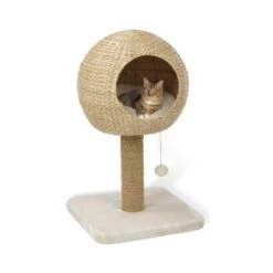 AniOne Kratzbaum Taro -Heimtierbedarf Verkäufe 8015d7b4c0183292da7990dff25b7ff1c97f7ca6 4661a3fe35a0d785da64c78b80181fd4eec21218