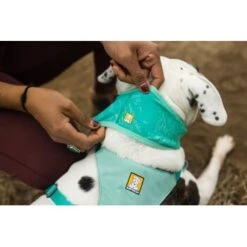 Ruffwear Swamp Cooler™ Kühlendes Halstuch Blau/ Türkis XXS -Heimtierbedarf Verkäufe 84380b323534f706adb064c5f59bfe1f6f8adfcb 1639914 de DE 09b76313830836f68f333eee06c0a6bd83fbeec4Hirkw3