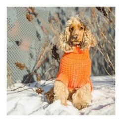 GF Pet Scout Pullover Orange XXXS -Heimtierbedarf Verkäufe 87d75cde4cab2d8cdf2692549386f0e200d51d03 3daf3b6566c5781ec3af7193979fd9f7fe520d5b