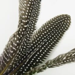 Schlitzohr Katzenangel Federanhänger 5x 16 Schlitzohr Katzenangel Federanhänger 5x -Heimtierbedarf Verkäufe 93b8e0c984d323f24d455bf8e74e2dbacef5703e 1484675 de DE 7b80f213f44ebcad765dbdebc25bf2d2f0177dbd64kHU2