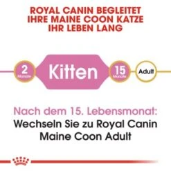 ROYAL CANIN Maine Coon Kitten 4 Kg -Heimtierbedarf Verkäufe 9494efda15798aa930f4c836c086824869519e76 d153c89f98a812830b790602e2c1dd84504c30b9