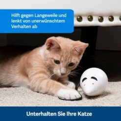 PetSafe Automatisches Katzenspielzeug RoloRat 10 PetSafe Automatisches Katzenspielzeug RoloRat -Heimtierbedarf Verkäufe 97df3eec34472f4ac76f2a0bbe4e75fdbbe02b64 1351522 de DE 83c2d308e962c4b6c64101ee39311b3a61647f71n2yR1C