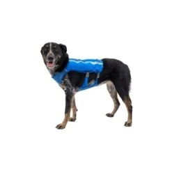 Ruffwear Trail Runner™ Weste Blau XS 17 Ruffwear Trail Runner™ Weste Blau XS -Heimtierbedarf Verkäufe 98442c3f4ada02dc38bbe918031392b2ba7e1943 1639640 de DE 57b978069b1aa95a705eb1af32811decb2e9cfecAOoih7