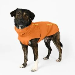 THE DOG IDEA Regenmantel Duke Orange XXXS -Heimtierbedarf Verkäufe a1af009970fbe0d49b23b55aae3478442e9eb5e6 1473000 de DE e975935bd14ae10e3cbf4709cc9d05a6879844e2TUSiIw