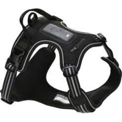 Fressnapf Tracker Pathfinder Geschirr Set S -Heimtierbedarf Verkäufe a2df04aeb351004724b0f8f10cdeae68ee99c98e 1409260 0 1