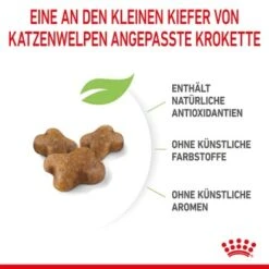 ROYAL CANIN Kitten 4 Kg 19 ROYAL CANIN Kitten 4 Kg -Heimtierbedarf Verkäufe a8df74b6725246cc1c5fa7ed87e8fdc0a4cfc24f 3182550702973 6